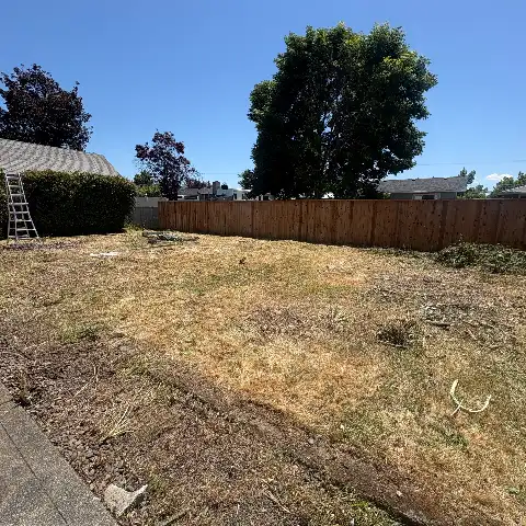 same yard cleared down to bare graded ground along the fence